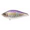 Rainbow Smelt