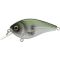 Blue Back Herring