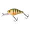 Wild Perch