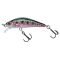 Hl Rainbow Trout