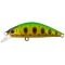 Green Gold Amago