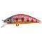 Trout Red Amago