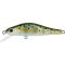 Minnow