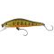 Savage Trout