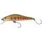 Seven Trout