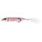 Rainbow trout