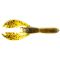 Summer Craw
