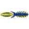 Okeechobee Craw