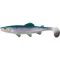 Rainbow Trout