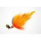 Parrot
