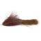 Brown Roach