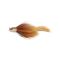 Pumpkin Craw