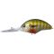 Green Gill