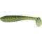 Silver Flash Minnow