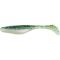 Rainbow Trout