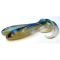 Herring