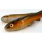 Bait Fish 2