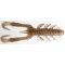Brown Pepper Shad