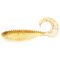 Gold Shiner