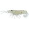 Jelly Prawn