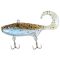 Pearl Minnow