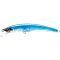 Blue Mackerel