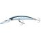 Blue Back Sardine
