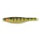 Galaxy Gill Gold