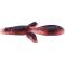 Soft Shell Craw