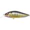 Al Evening Gill