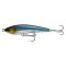 Black Anchovy