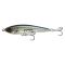 Ghost Anchovy