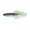 Pearl Minnow