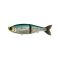 JDM Sardine