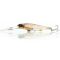 Jelly Prawn