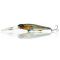 Herring