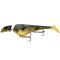 Pilkuinen Bullhead
