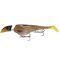 Golden Shiner
