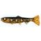 Pilkuinen Bullhead