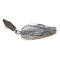 Blue Gill