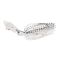 Clear water shad