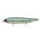 Blue Back Herring