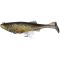 Golden Shiner