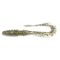 Hopea Shad