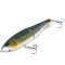 Clearwater Shiner