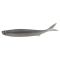 Luonnollinen Shad