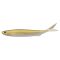 Armand Gold