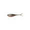 Rainbow Trout