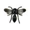 Midnight Sting