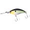 Sexy Shad